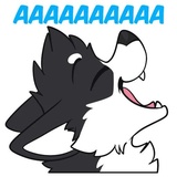 Husky Funny WhatsApp Sticker #23