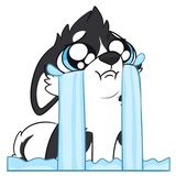 Husky Funny WhatsApp Sticker #25