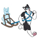 Husky Funny WhatsApp Sticker #26