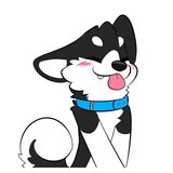 Husky Funny WhatsApp Sticker #3