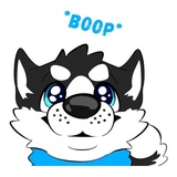 Husky Funny WhatsApp Sticker #4
