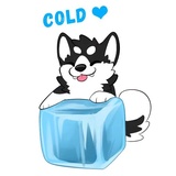 Husky Funny WhatsApp Sticker #6
