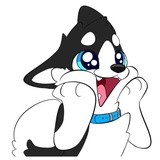 Husky Funny WhatsApp Sticker #7