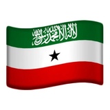 Non-Unicode Flags WhatsApp Sticker #27