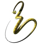 Kung Fu Panda WhatsApp Sticker #13