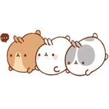 Molang WhatsApp Sticker #2