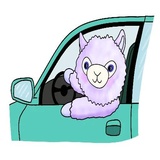 lil Alpaca WhatsApp Sticker #8