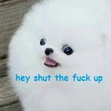 Memetics WhatsApp Sticker #2