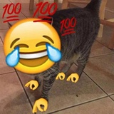 Memetics WhatsApp Sticker #4