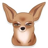 Chihuahua WhatsApp Sticker #10