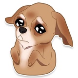 Chihuahua WhatsApp Sticker #11