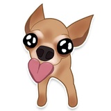 Chihuahua WhatsApp Sticker #14