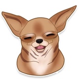 Chihuahua WhatsApp Sticker #15