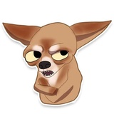 Chihuahua WhatsApp Sticker #3