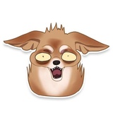 Chihuahua WhatsApp Sticker #4