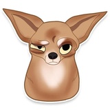 Chihuahua WhatsApp Sticker #6