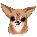 Chihuahua WhatsApp Sticker #8
