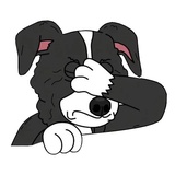Mr.Pickles WhatsApp Sticker #10
