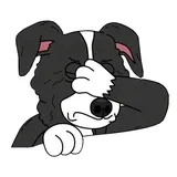 Sticker 10
