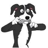 Sticker 12