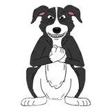 Sticker 13