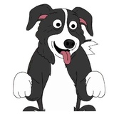 Mr.Pickles WhatsApp Sticker #15