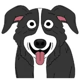Sticker 17