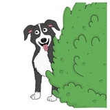 Mr.Pickles WhatsApp Sticker #18