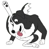 Mr.Pickles WhatsApp Sticker #23