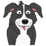 Mr.Pickles WhatsApp Sticker #27