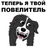 Mr.Pickles WhatsApp Sticker #3