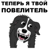 Sticker 3