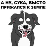 Mr.Pickles WhatsApp Sticker #4