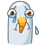 Pigeons WhatsApp Sticker #12