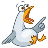 Pigeons WhatsApp Sticker #13
