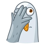 Pigeons WhatsApp Sticker #16