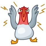 Pigeons WhatsApp Sticker #18