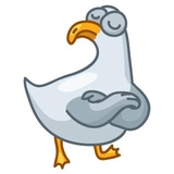 Pigeons WhatsApp Sticker #19
