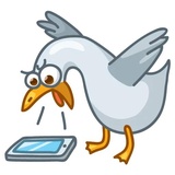 Pigeons WhatsApp Sticker #20