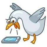 Sticker 20