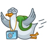 Pigeons WhatsApp Sticker #25