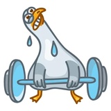 Pigeons WhatsApp Sticker #27