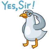 Pigeons WhatsApp Sticker #5