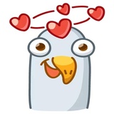 Pigeons WhatsApp Sticker #8