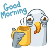 Pigeons WhatsApp Sticker #9