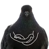 Pigeons with hands