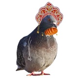 Pigeons with hands WhatsApp Sticker #11