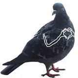 Sticker 3