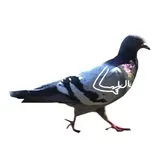 Sticker 4