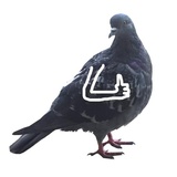 Pigeons with hands WhatsApp Sticker #7